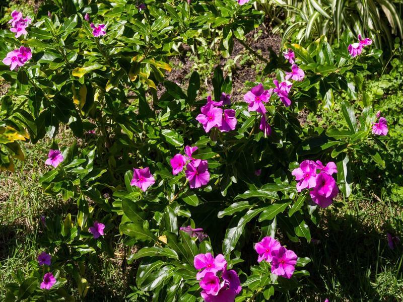 Pousada Buzios Garden Zewnętrze zdjęcie